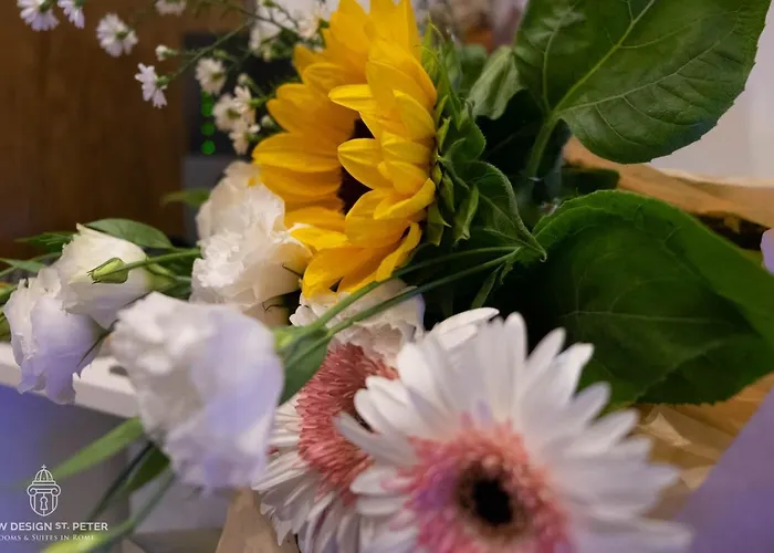 New Design St.peter Pensjonat 4*