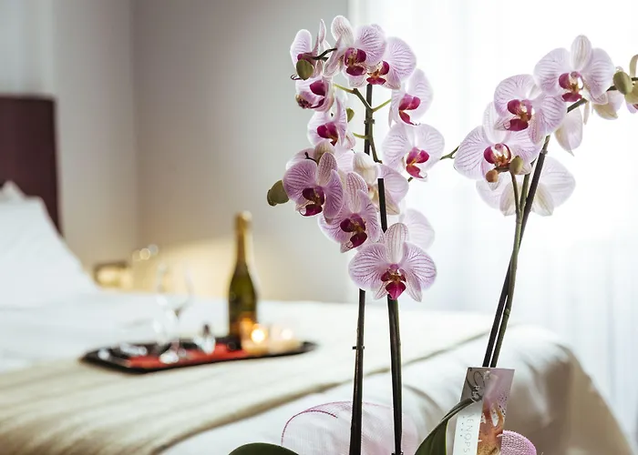 New Design St.peter 4* Rzym