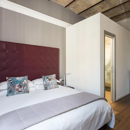 New Design St.peter Rom