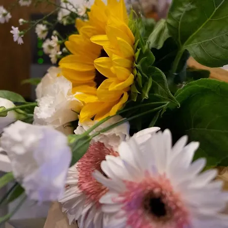 New Design St.peter Guest house 4*