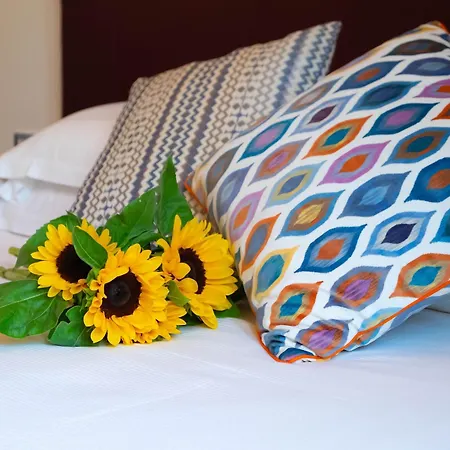 Guest house New Design St.peter Rome