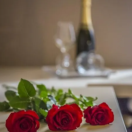 ニュー デザイン セント ピーター ゲストハウス ローマ