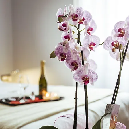 New Design St Peter - Your Boutique Experience 4* Rom
