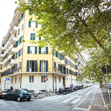 ニュー デザイン セント ピーター