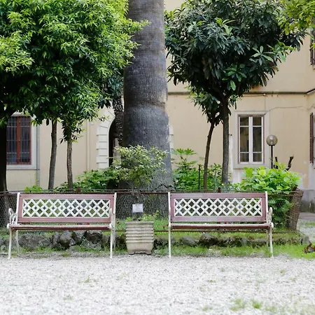 New Design St.peter Řím