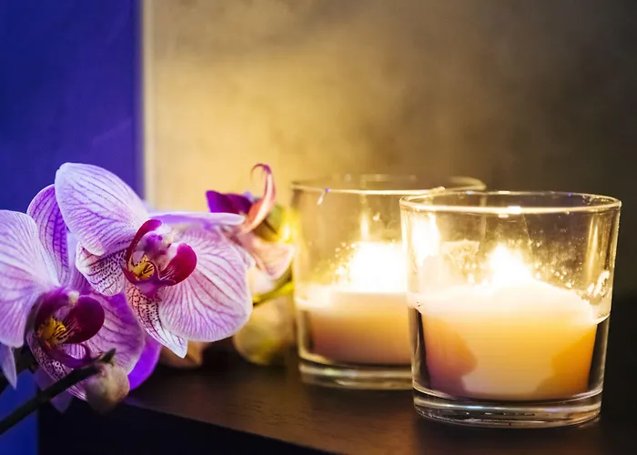 뉴 디자인 세인트 피터 게스트하우스 로마