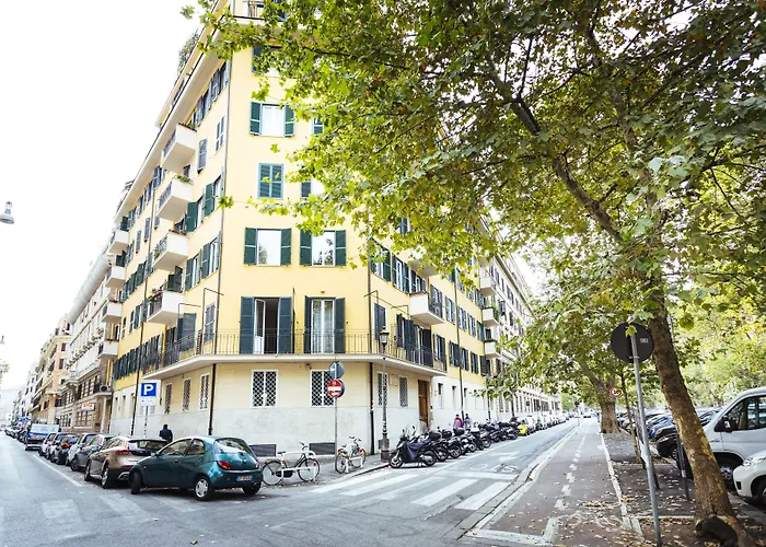 뉴 디자인 세인트 피터