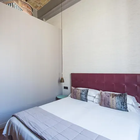 Guest house New Design St.peter Rome